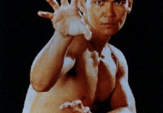 don-the-dragon-wilson