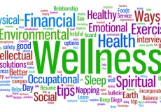 become a wellness coach