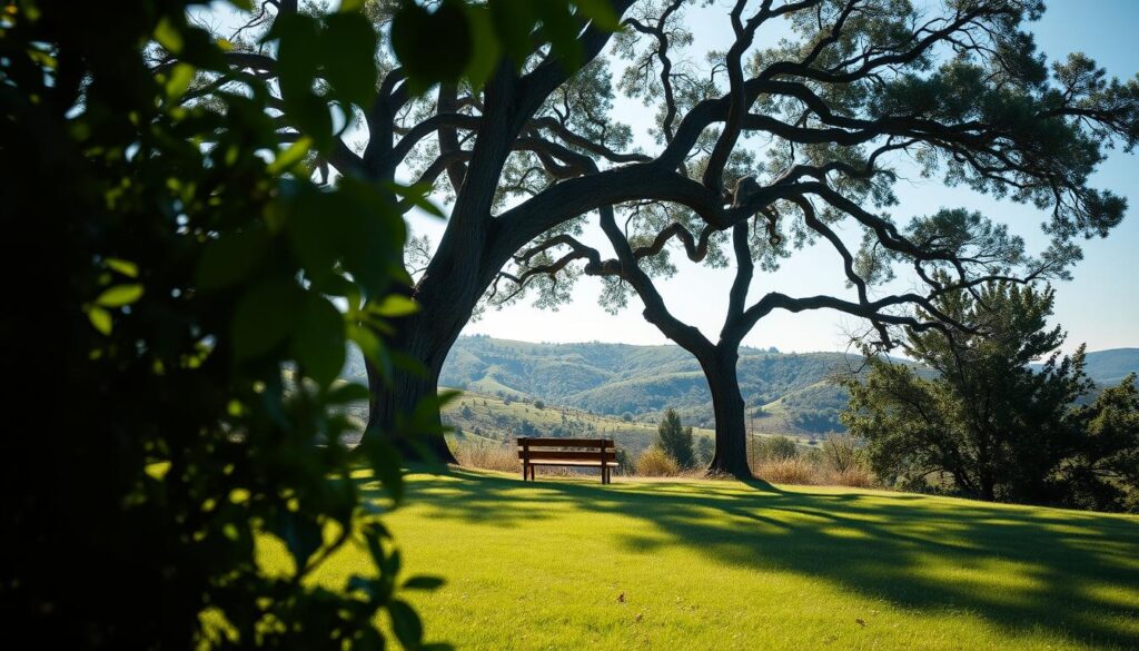 let go of materialism location independence